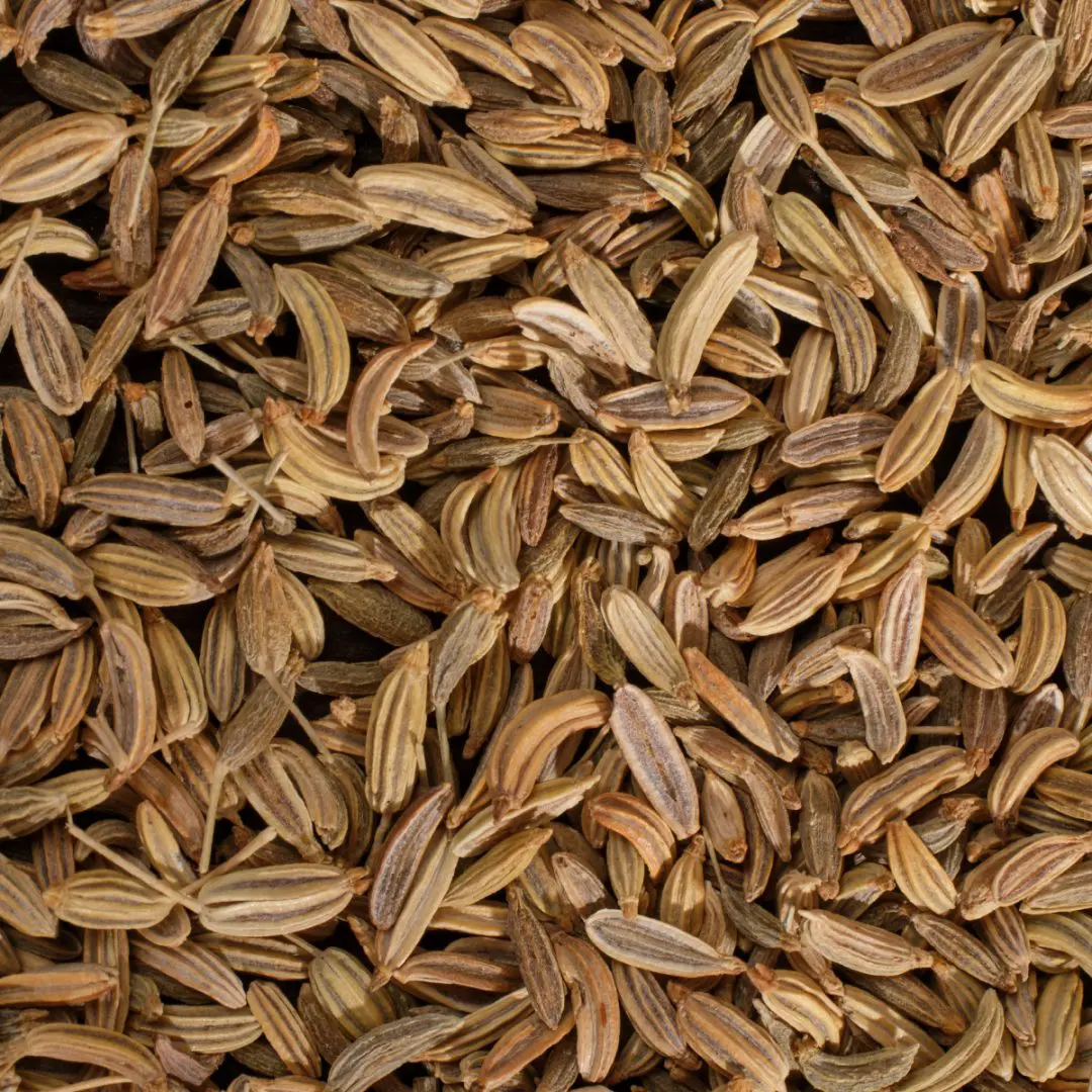 Cumin en graines – Épice authentique sélectionnée par le Chef Barro