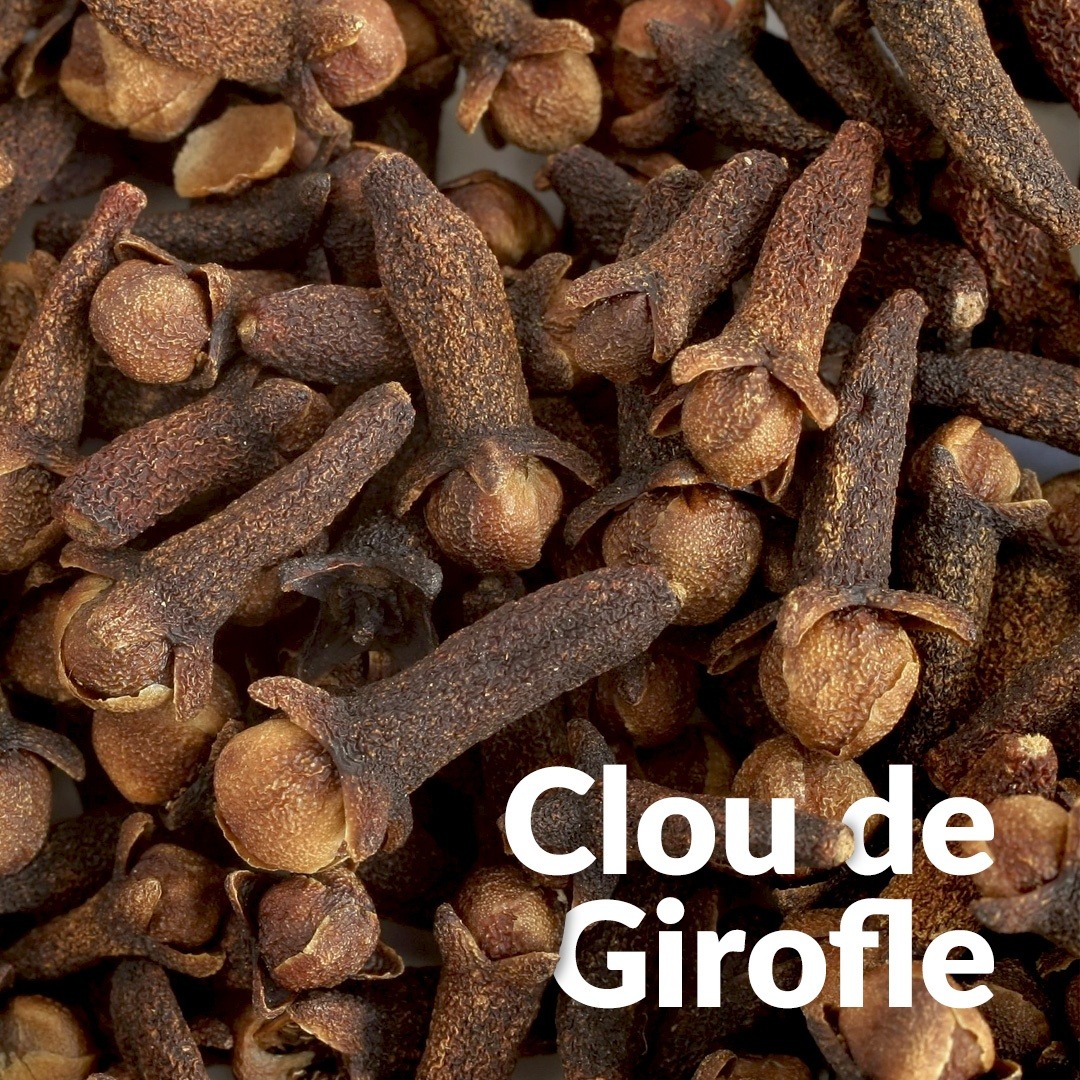 Clous de Girofle Entiers – Épice aromatique aux notes chaudes et puissantes 100g